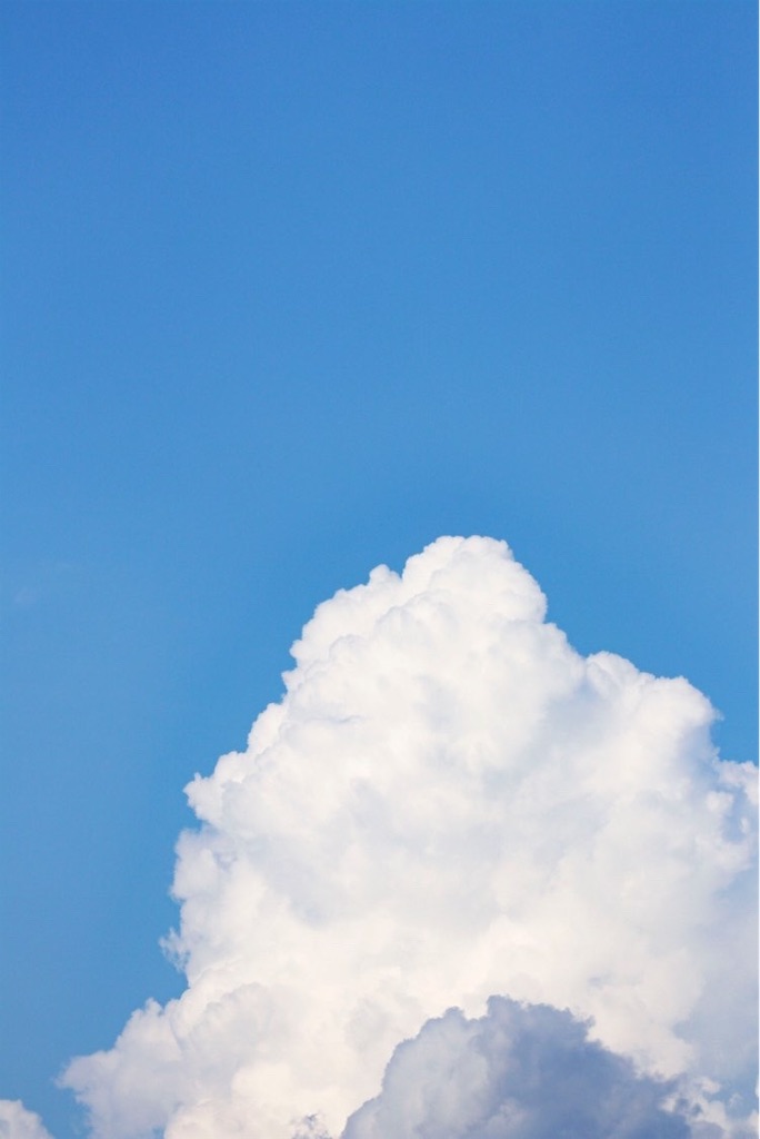 f:id:kskssho:20190827165531j:image f:id:kskssho:20190827165531j:image