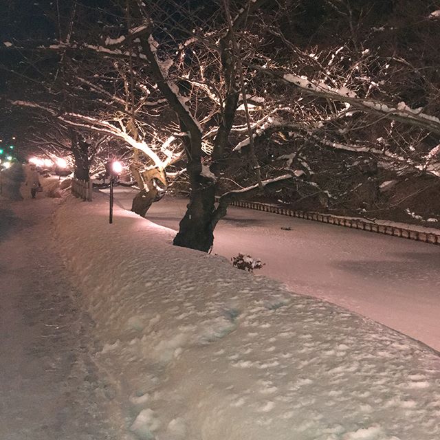 f:id:ksmzyy01:20180306002543j:plain