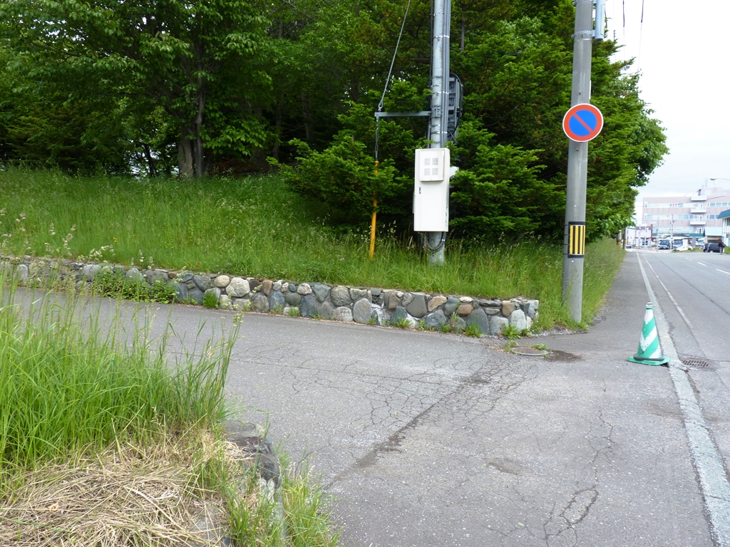 f:id:ksn-bee:20180617231830j:plain
