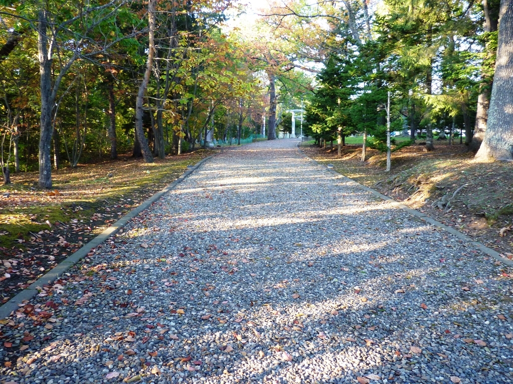 f:id:ksn-bee:20181110011545j:plain