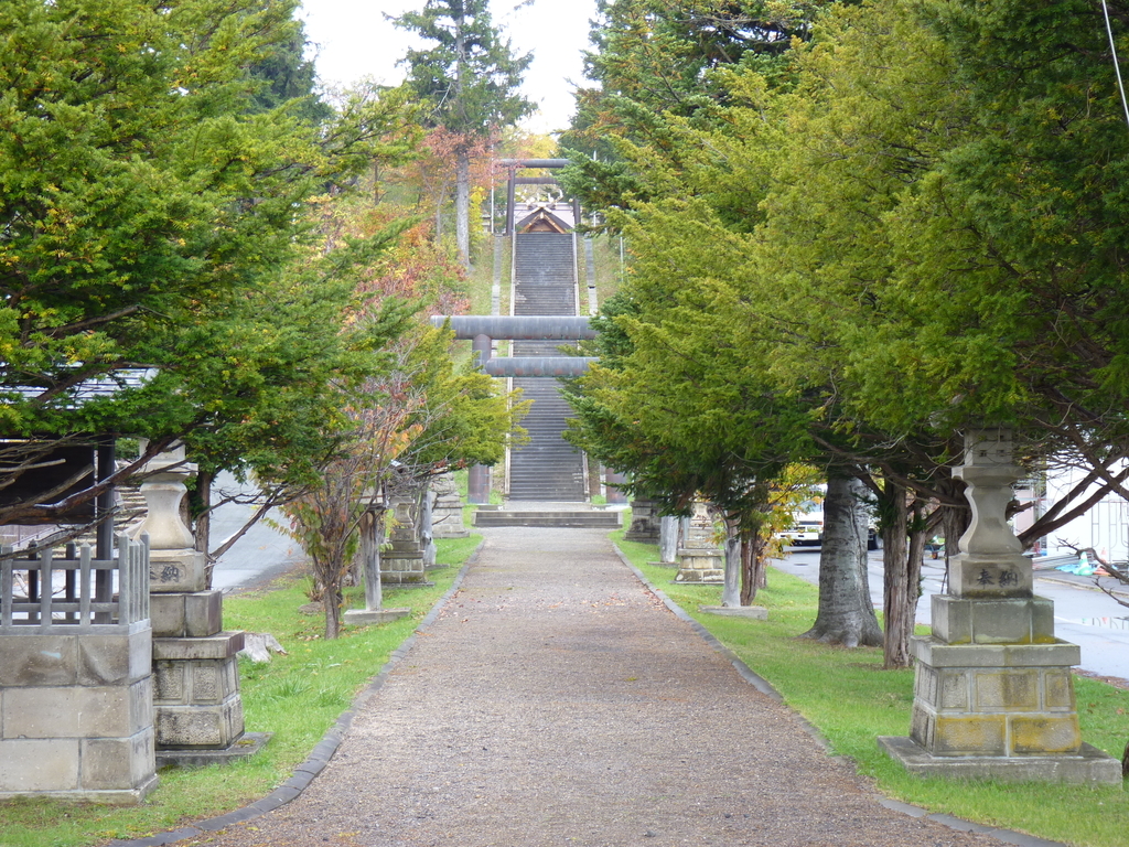 f:id:ksn-bee:20181119224334j:plain