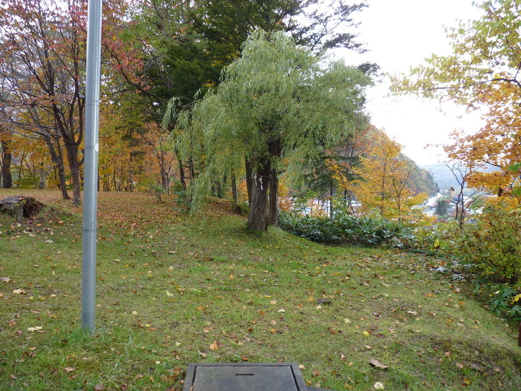 f:id:ksn-bee:20181119224504j:plain