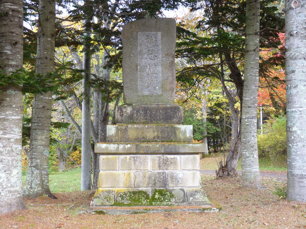 f:id:ksn-bee:20181119224519j:plain