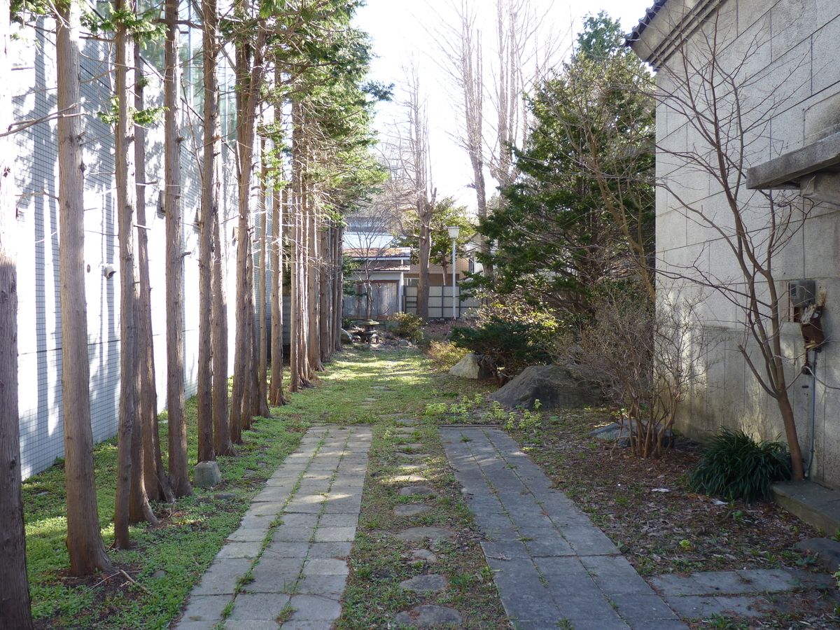 f:id:ksn-bee:20190509212358j:plain