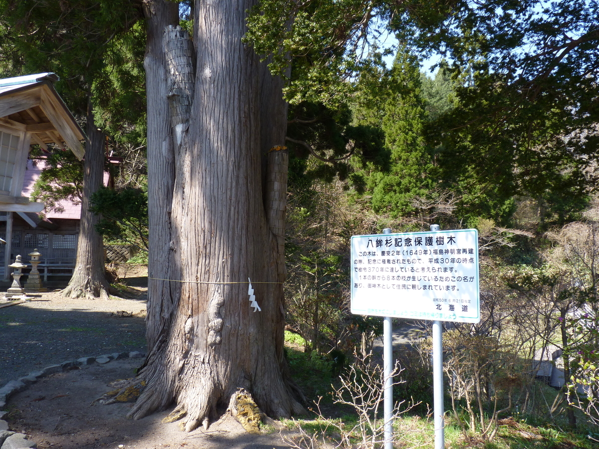 f:id:ksn-bee:20190517233702j:plain