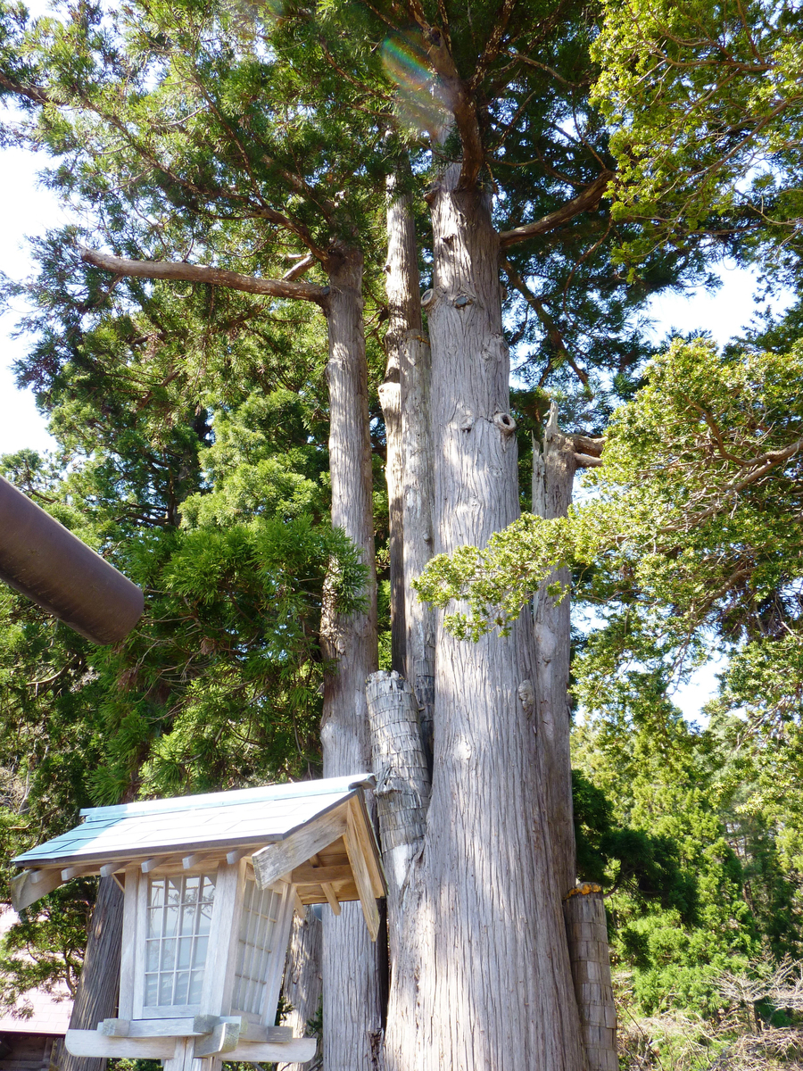 f:id:ksn-bee:20190517234720j:plain