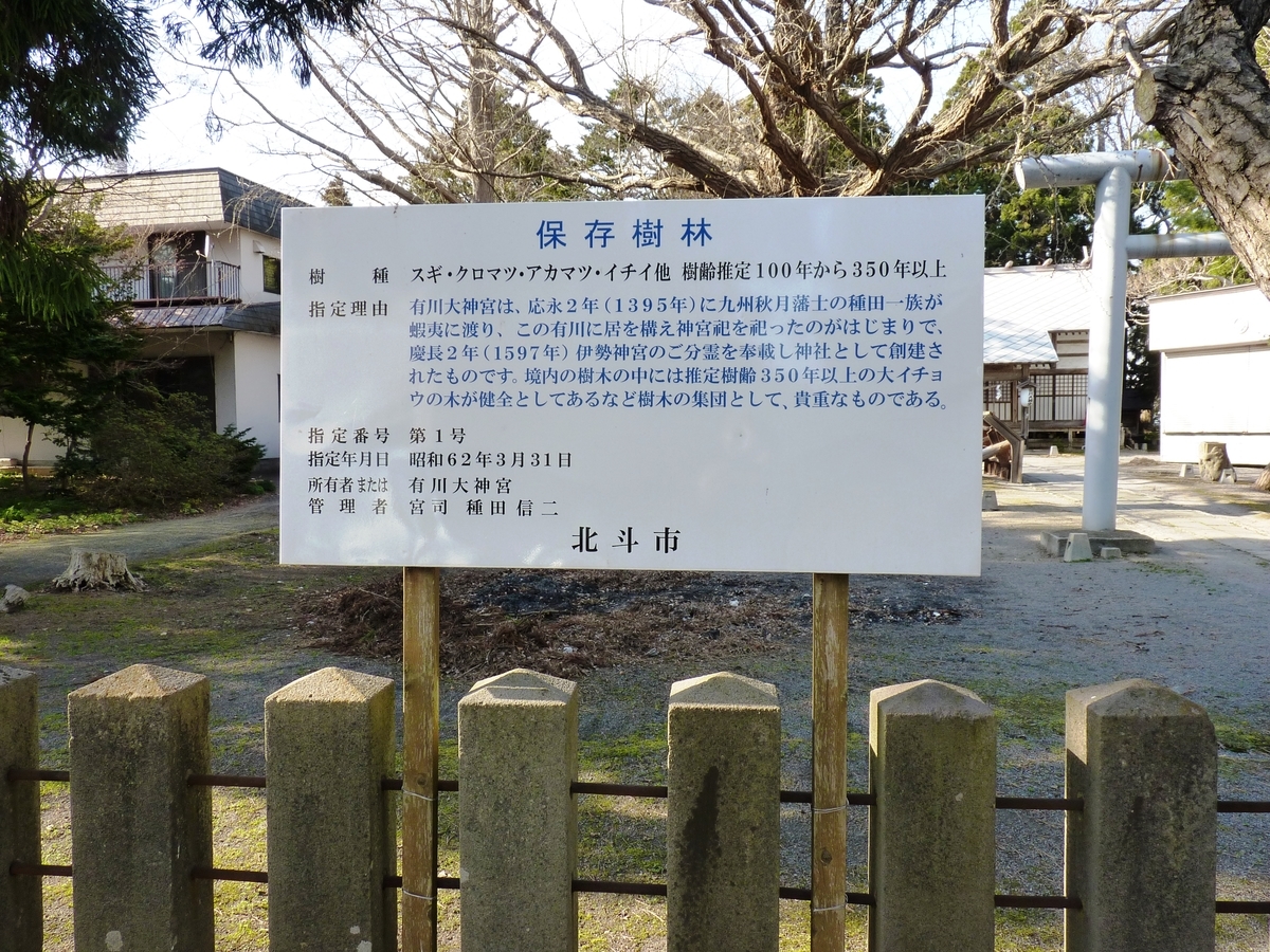 f:id:ksn-bee:20190525163710j:plain