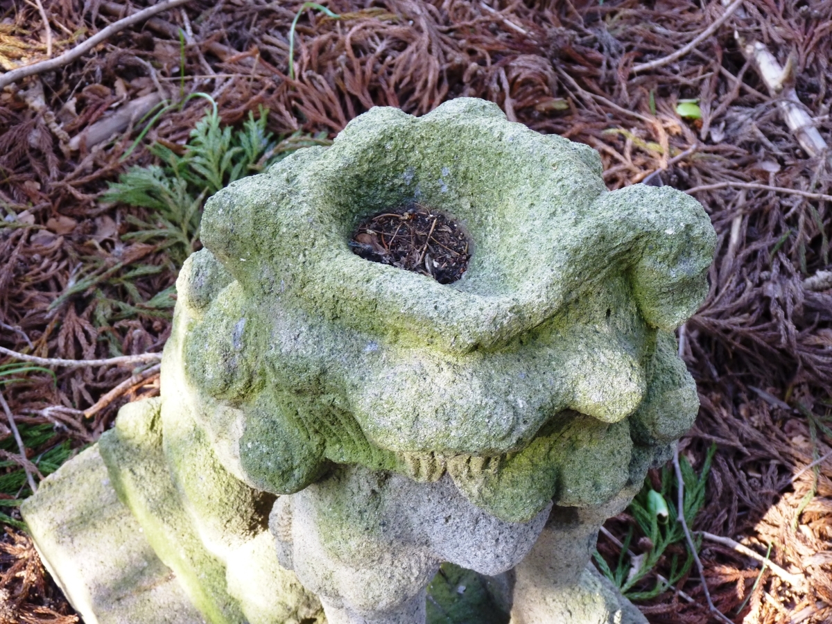 f:id:ksn-bee:20190525164109j:plain