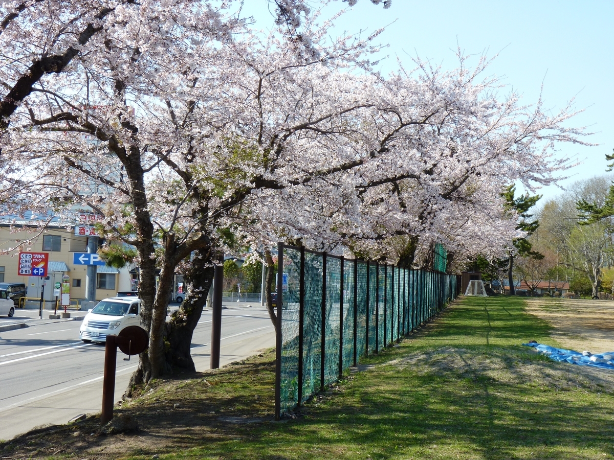 f:id:ksn-bee:20190618235852j:plain