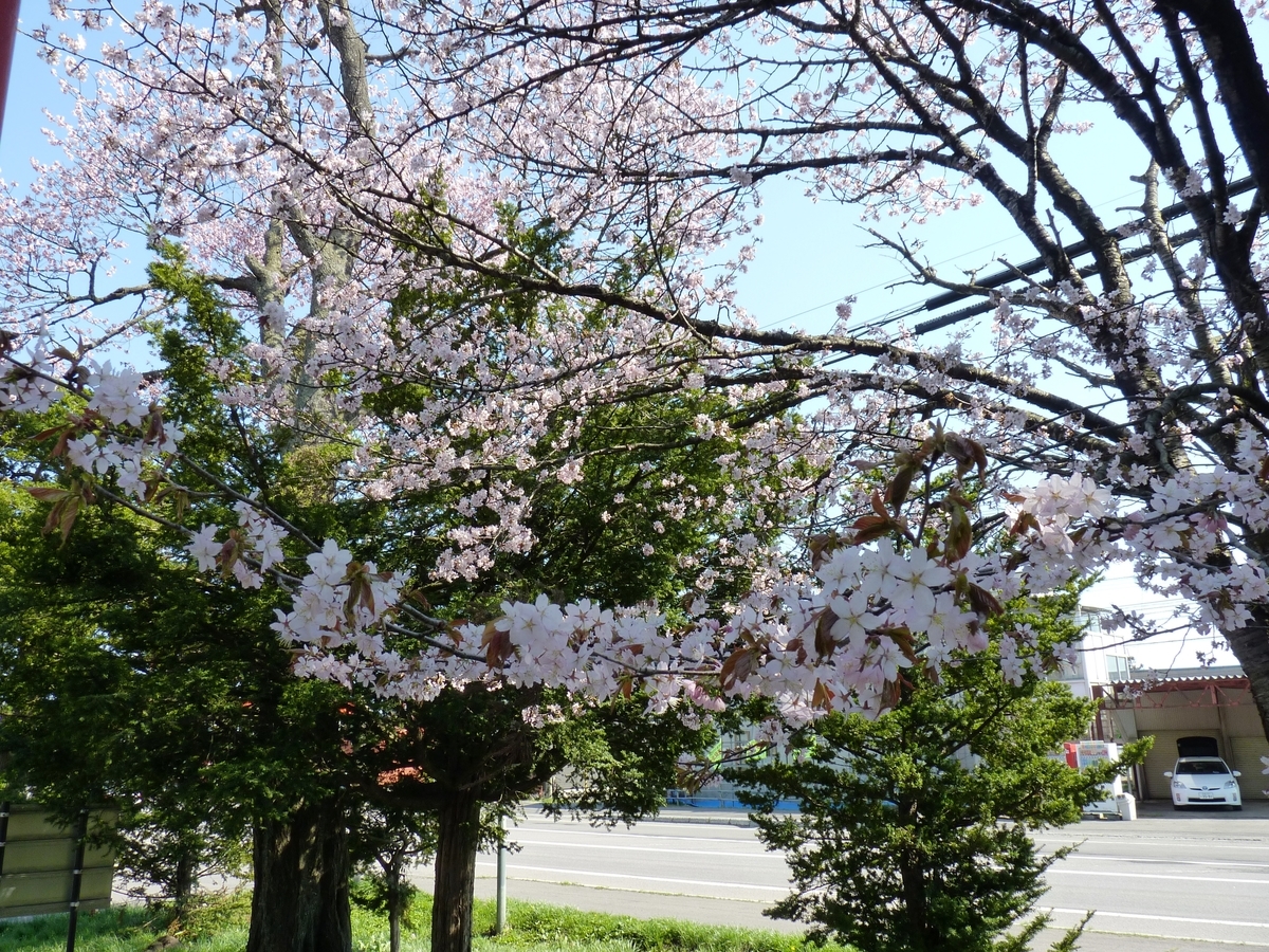 f:id:ksn-bee:20190622004409j:plain