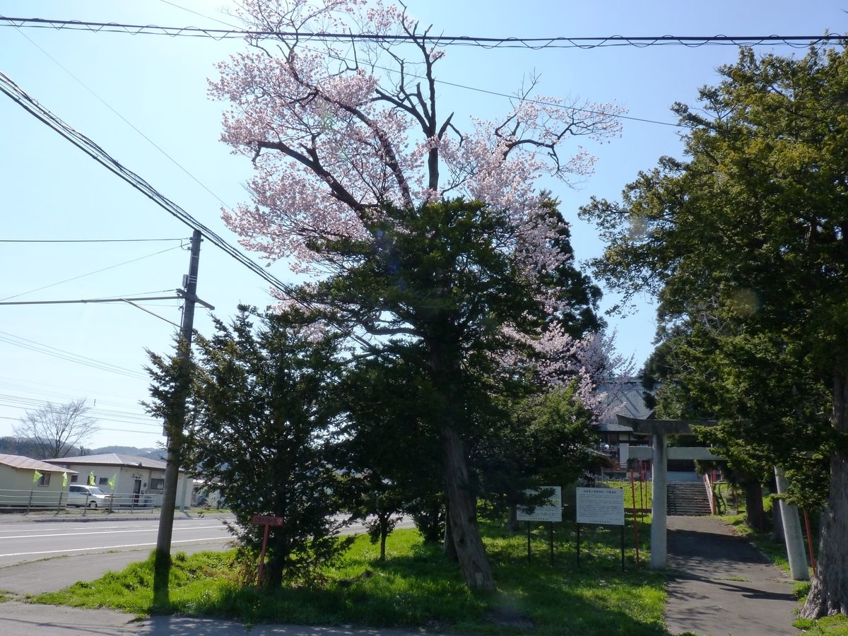 f:id:ksn-bee:20190622004600j:plain