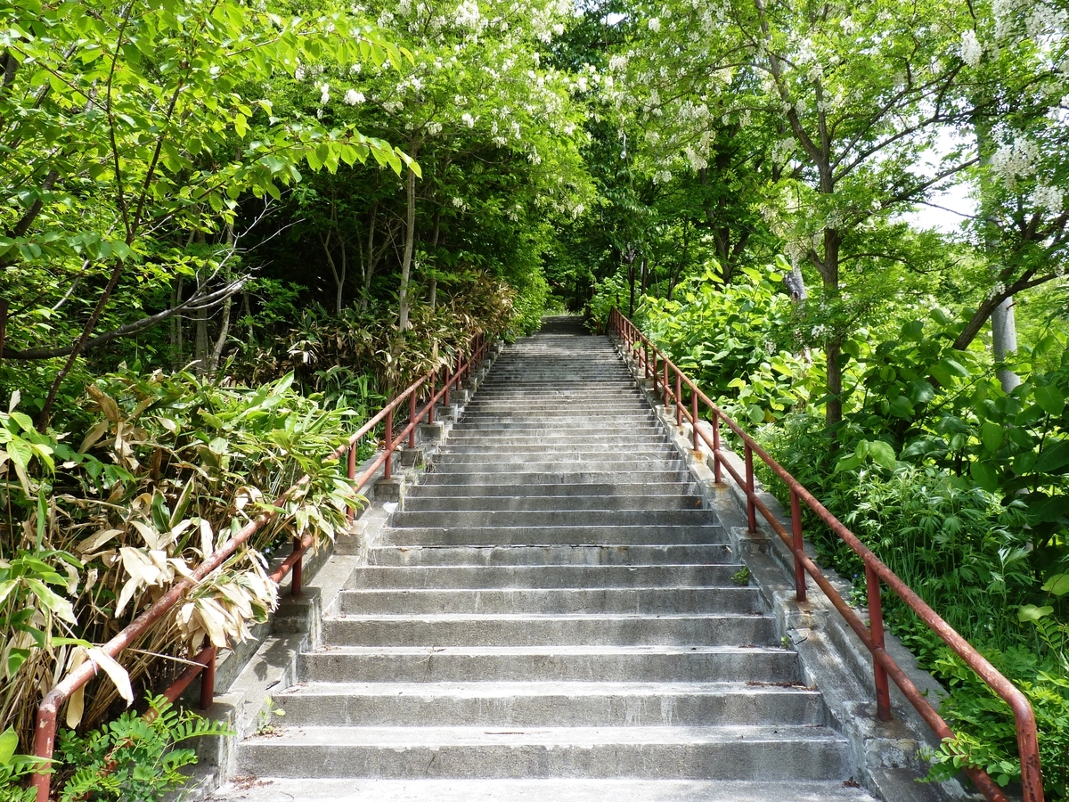 f:id:ksn-bee:20190718222459j:plain