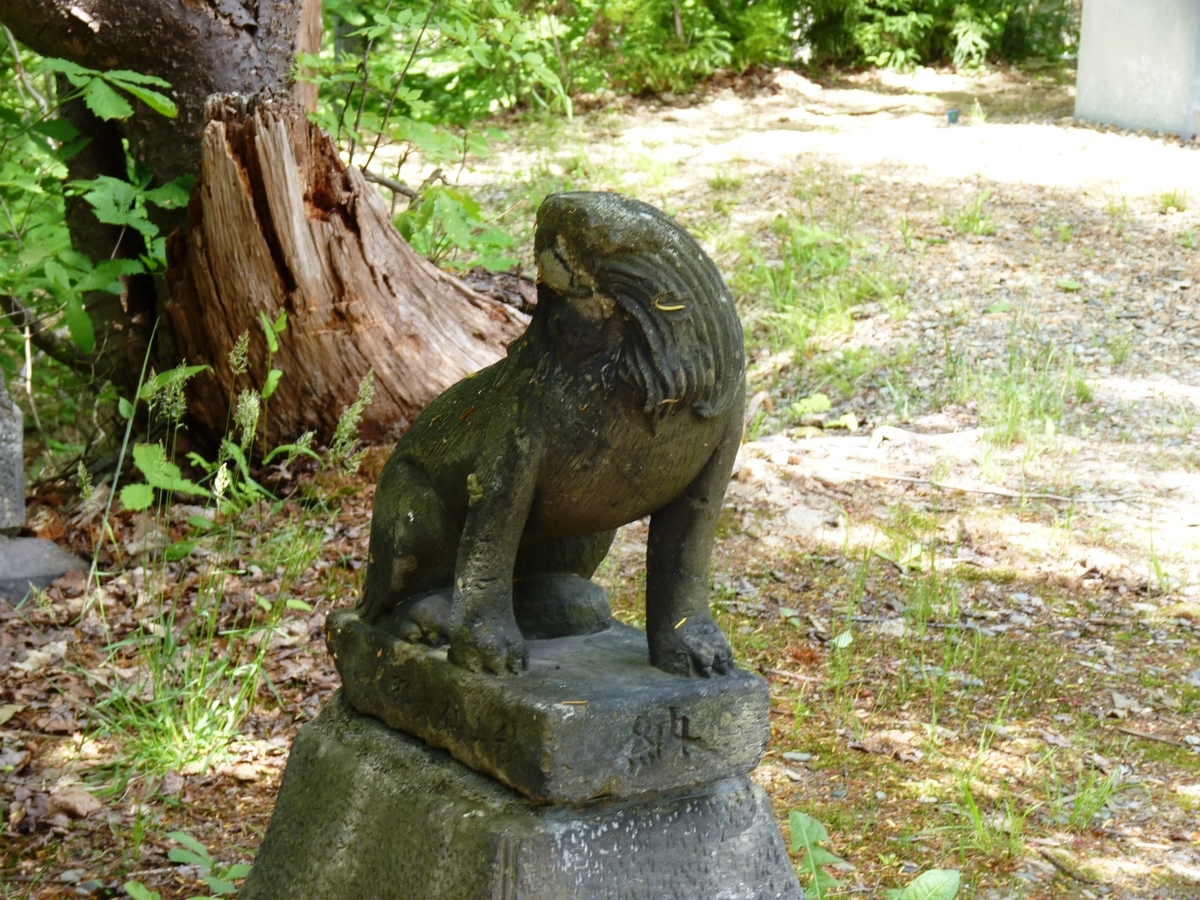 f:id:ksn-bee:20190718222901j:plain