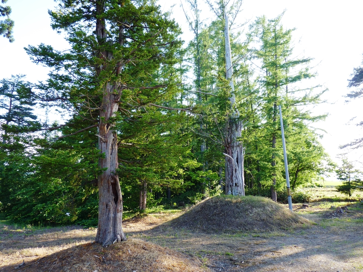 f:id:ksn-bee:20190821230728j:plain