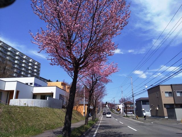 f:id:ksn-bee:20200430133502j:plain