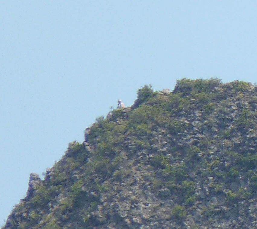 f:id:ksn-bee:20210724010725j:plain