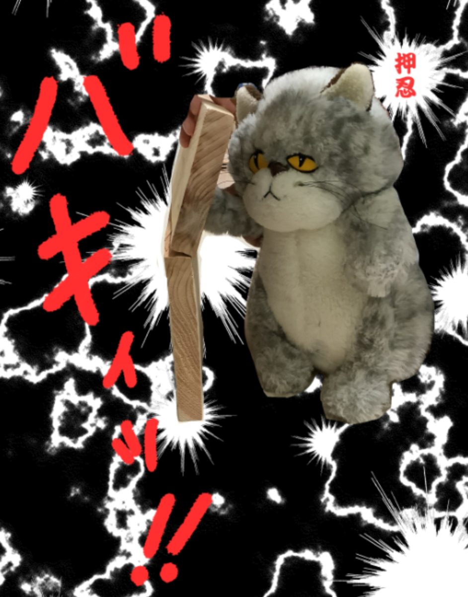 f:id:kspengin:20220105213540j:plain