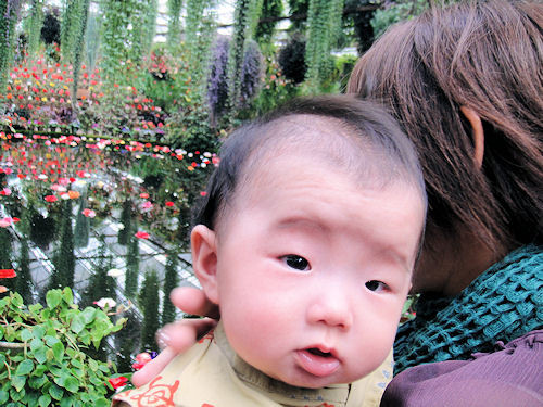f:id:ksrer:20090815134229j:image
