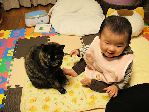 f:id:ksrer:20091221182848j:image