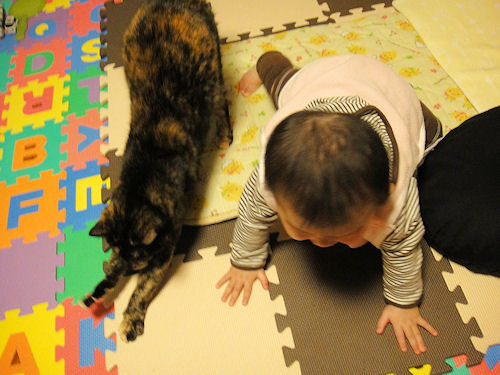 f:id:ksrer:20091221182855j:image