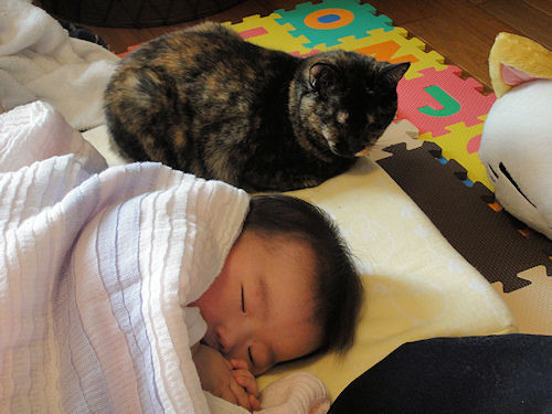f:id:ksrer:20091226105928j:image