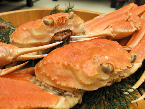 f:id:ksrer:20091231181411j:image f:id:ksrer:20091231181411j:image