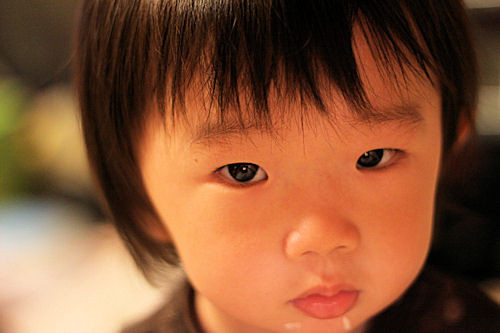f:id:ksrer:20100928195336j:image