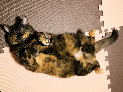 f:id:ksrer:20120418210848j:image f:id:ksrer:20120418210848j:image