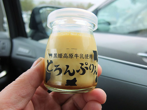 f:id:ksrer:20190430110614j:plain