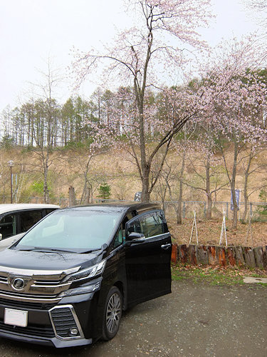 f:id:ksrer:20190430114321j:plain