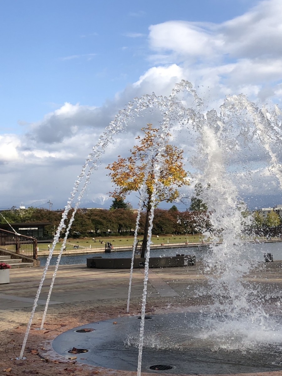 f:id:ksrmx:20201229123119j:image:w240