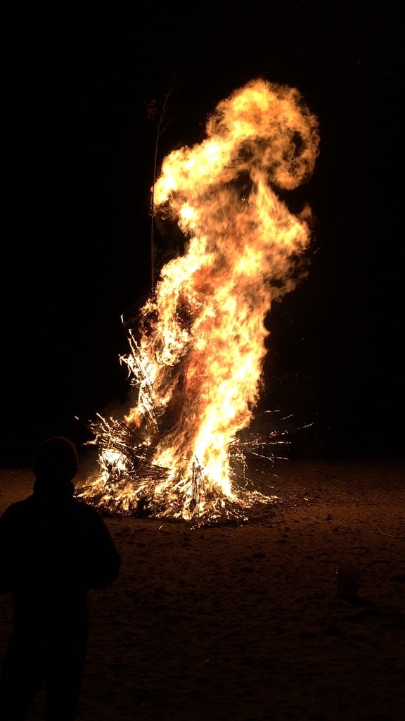 伊豆白浜海岸　どんど焼き