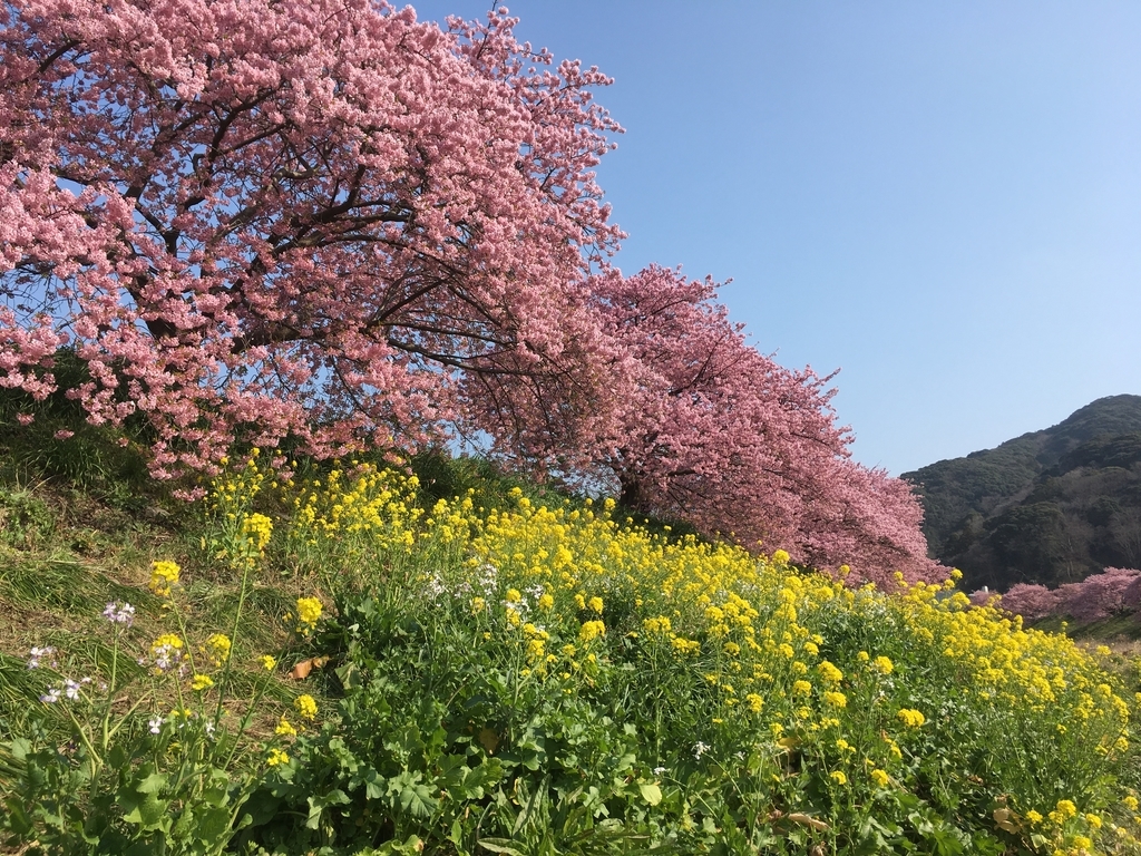 f:id:ksroomshirahama:20190226211036j:plain