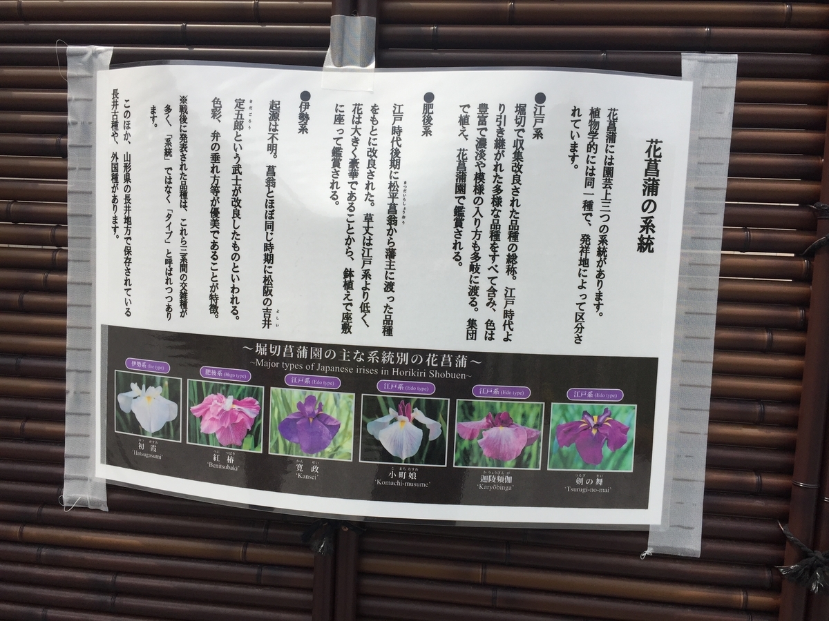 f:id:kssa8008:20200530084704j:plain f:id:kssa8008:20200530084704j:plain