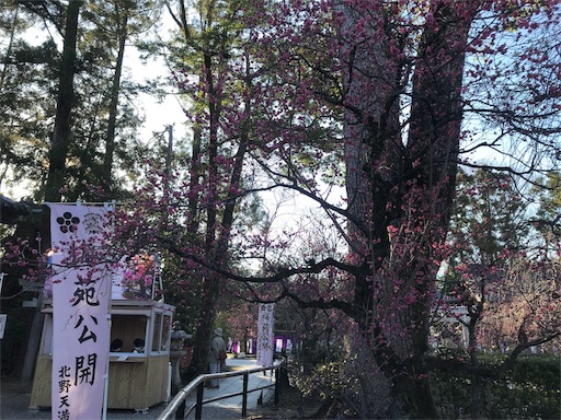 f:id:ksstory:20200303112209j:image f:id:ksstory:20200303112209j:image
