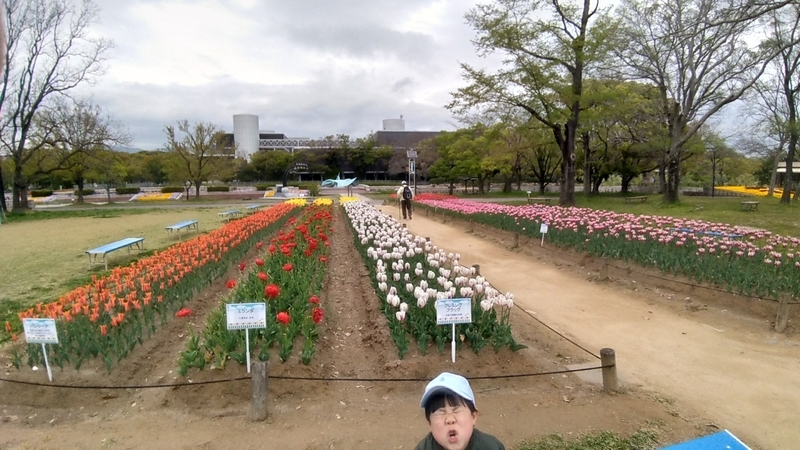 イメージ 3