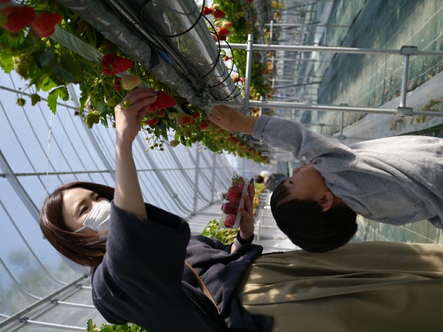 f:id:kswqp769:20200316171247j:image f:id:kswqp769:20200316171247j:image