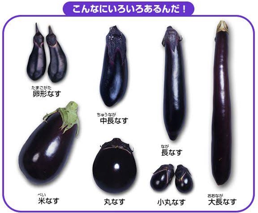 f:id:ksyr19920105178:20180805012310j:image f:id:ksyr19920105178:20180805012310j:image