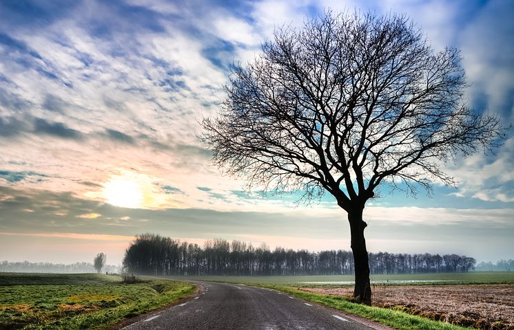 f:id:kt-888:20191118194508j:plain f:id:kt-888:20191118194508j:plain