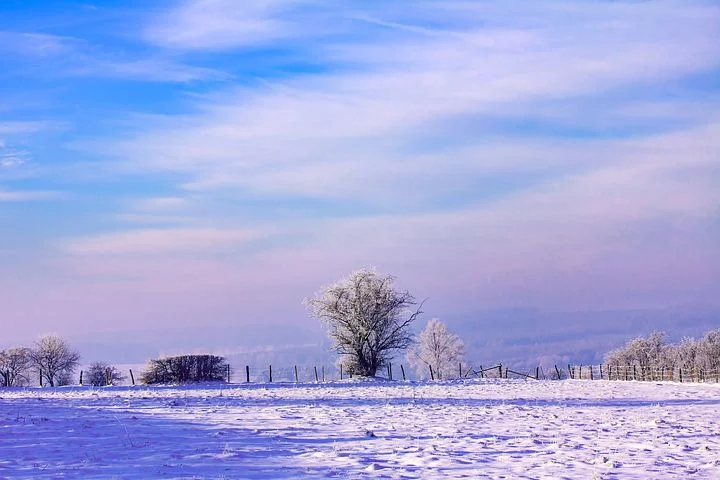 f:id:kt-888:20191121095203p:plain f:id:kt-888:20191121095203p:plain