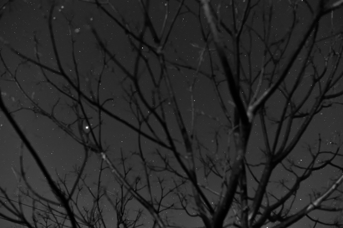 f:id:kt-photo:20161213082328j:plain