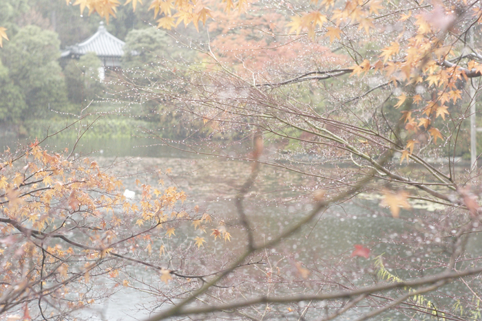 f:id:kt-photo:20161218033407j:plain