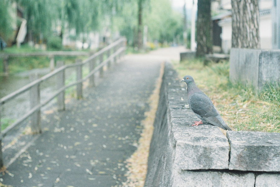 f:id:kt-photo:20161231185014j:plain