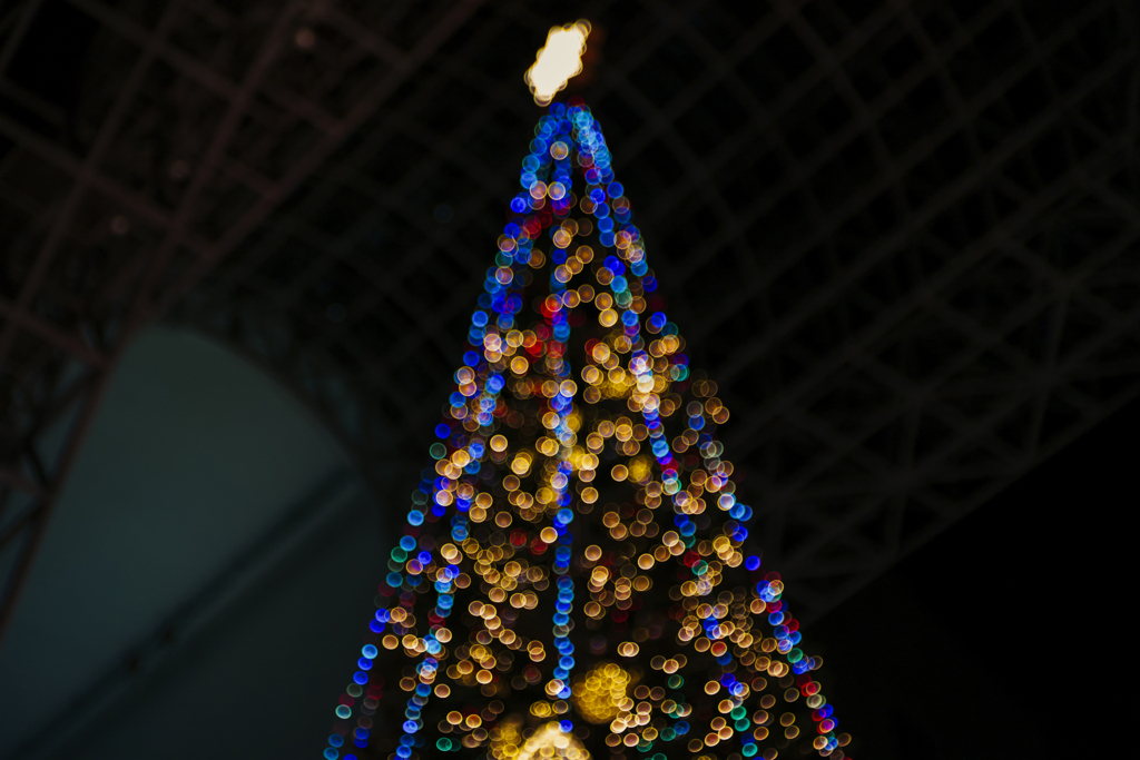 f:id:kt-photo:20171215194042j:plain