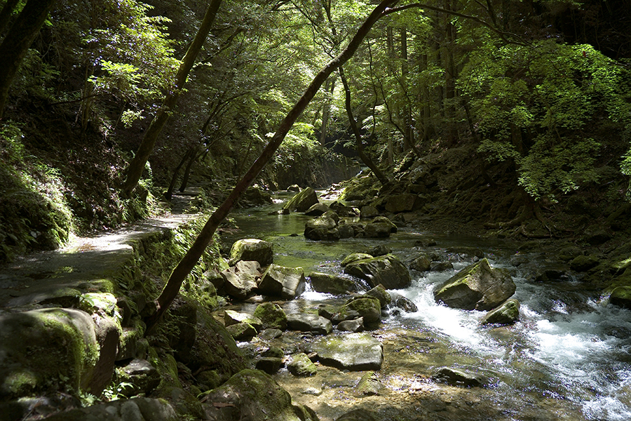 f:id:kt-photo:20180714195631j:plain