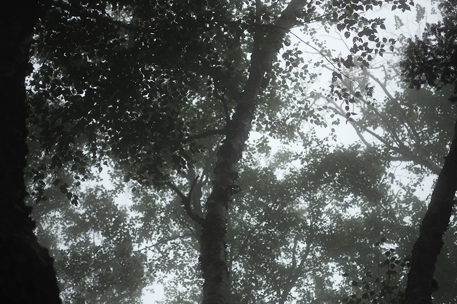 f:id:kt-photo:20180915200101j:plain