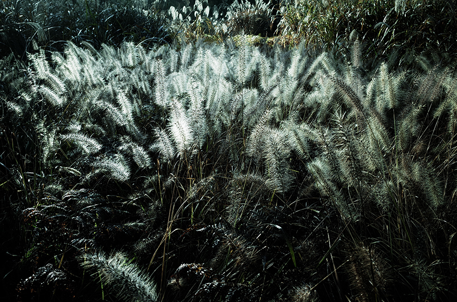 f:id:kt-photo:20181128073953j:plain