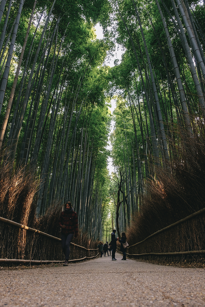 f:id:kt-photo:20190109052930j:plain