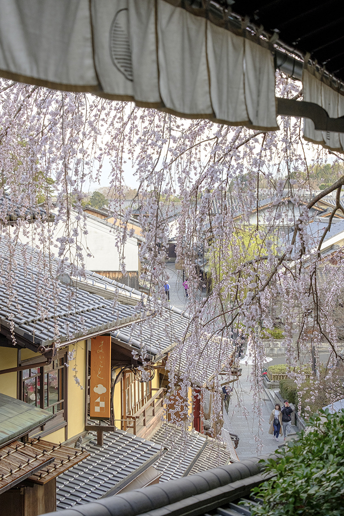 f:id:kt-photo:20190327034448j:plain