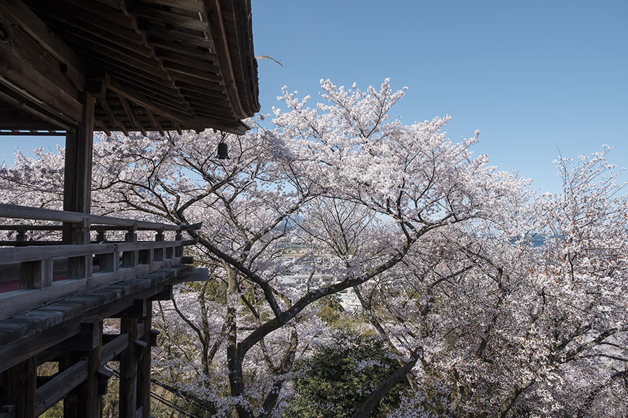 f:id:kt-photo:20190411061750j:plain
